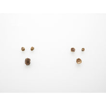 Load image into Gallery viewer, Portraits from the Bottom Up