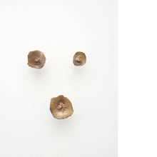 Load image into Gallery viewer, Portraits from the Bottom Up