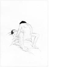 Load image into Gallery viewer, The Joy of Sex Portfolio