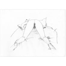 Load image into Gallery viewer, The Joy of Sex Portfolio