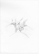 Load image into Gallery viewer, The Joy of Sex Portfolio