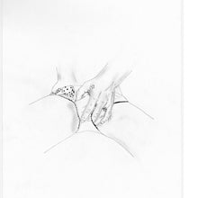 Load image into Gallery viewer, The Joy of Sex Portfolio