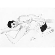 Load image into Gallery viewer, The Joy of Sex Portfolio