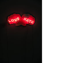 Load image into Gallery viewer, Love / Hate