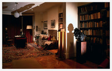 Load image into Gallery viewer, Polymorphous Perverse