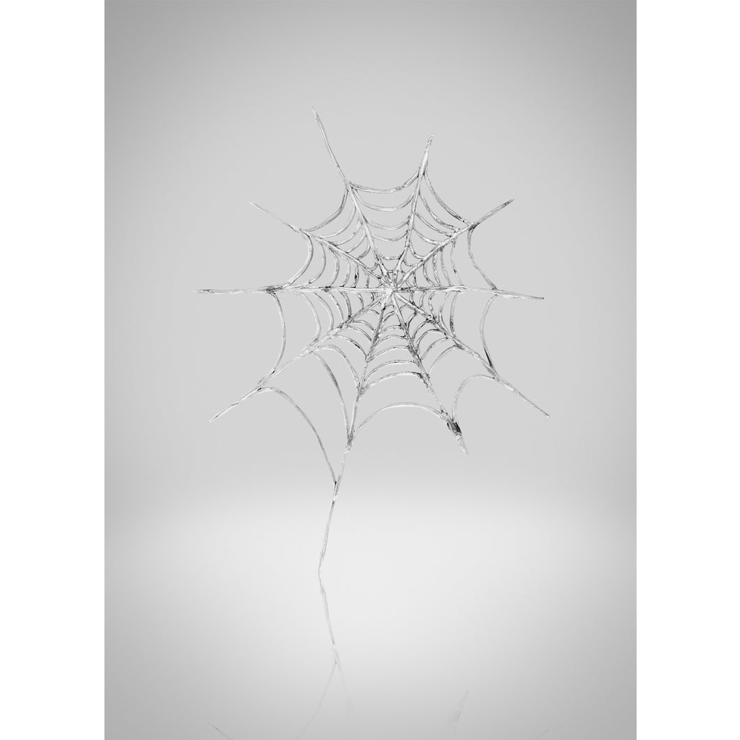 Sue Webster - Spiderweb Pendant, Large